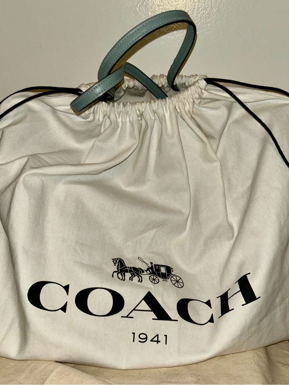 Coach Reversible City Tote with “Owltini”Party Owl Print. Super fun!!! - Picture 16 of 16